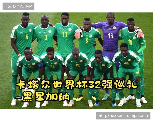 加纳国家队阵容价值分析
